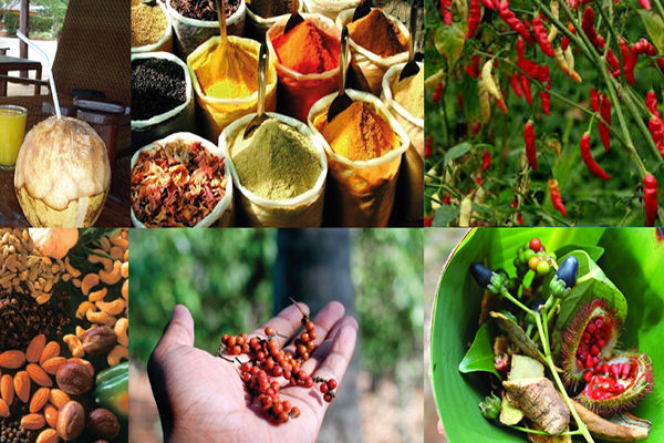 Spice tour