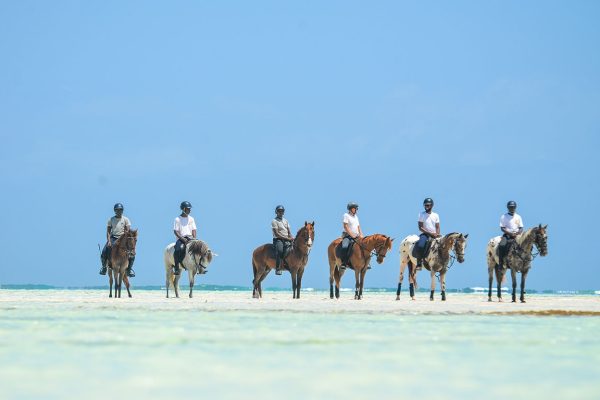 Horse Riding