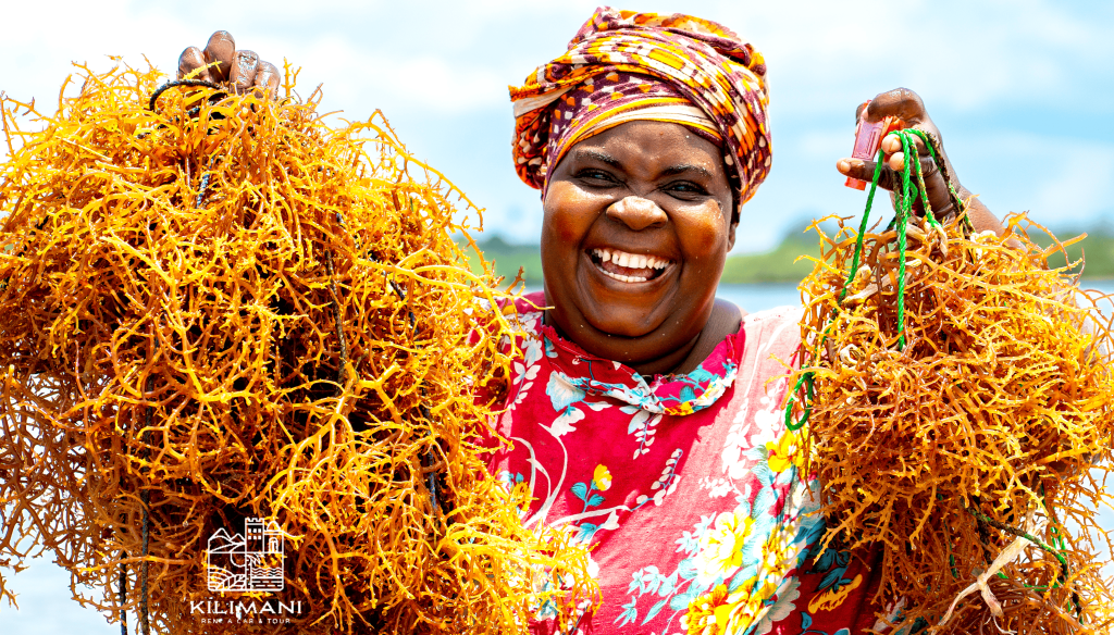 Seaweed Farming & Processing Visit