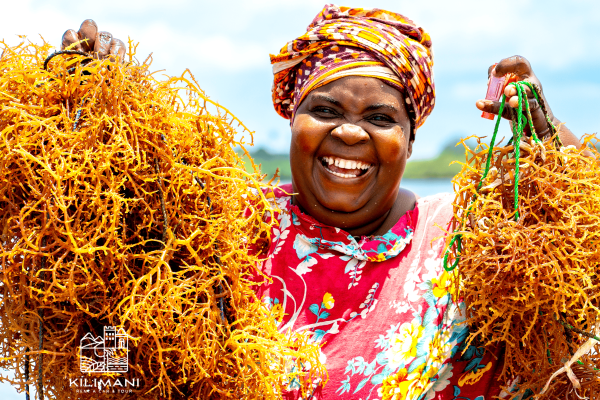 Seaweed Farming & Processing Visit